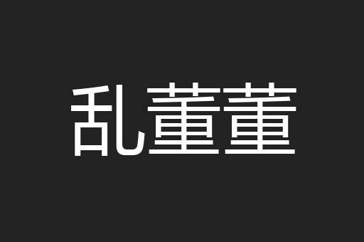 乱董董