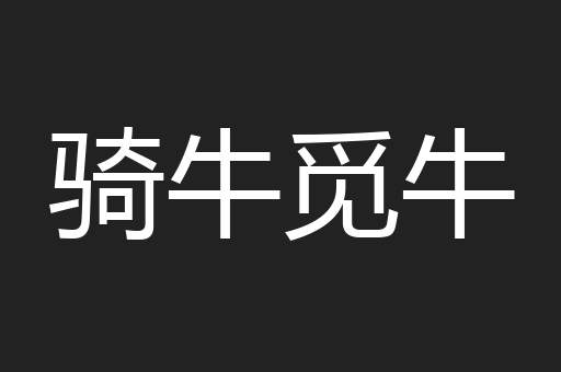 骑牛觅牛