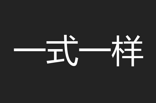 一式一样