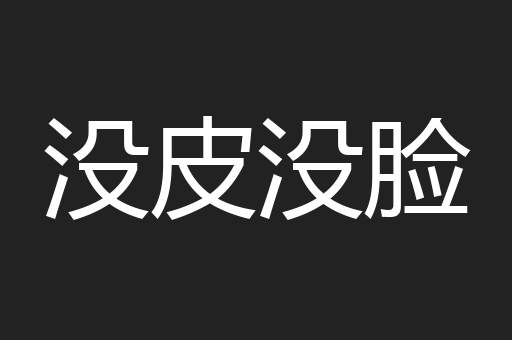 没皮没脸
