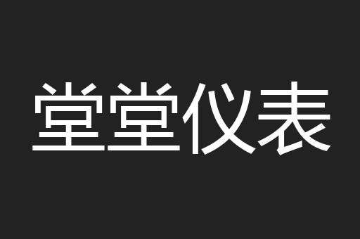 堂堂仪表