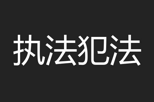 执法犯法