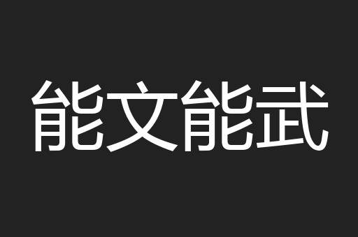 能文能武