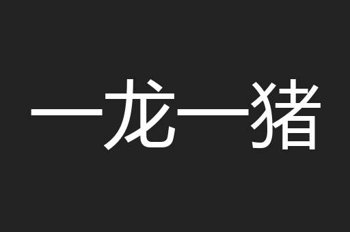 一龙一猪