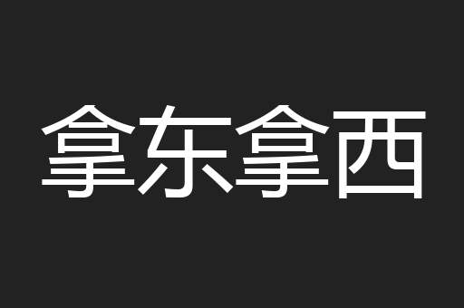 拿东拿西