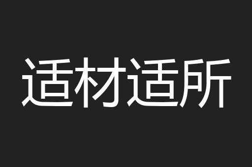 适材适所