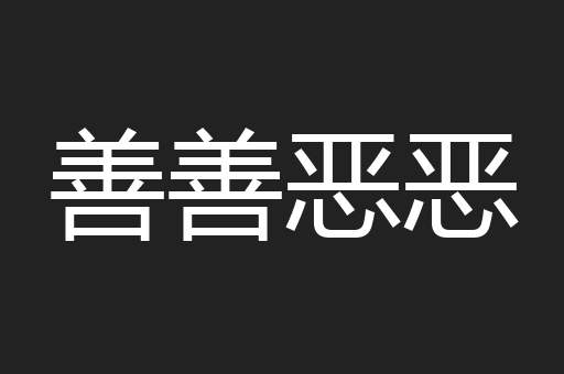善善恶恶