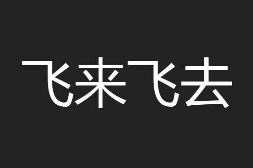 飞来飞去