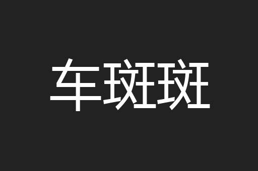 车斑斑