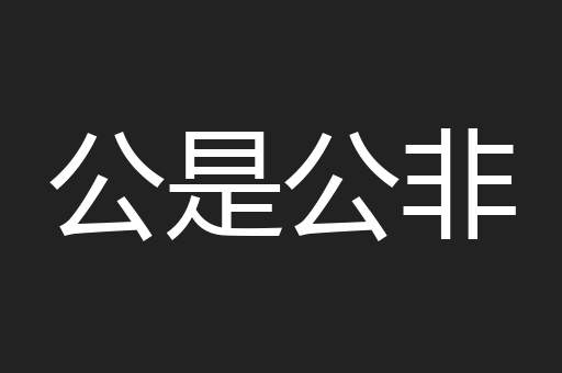 公是公非