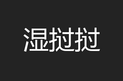 湿挝挝