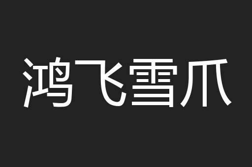鸿飞雪爪