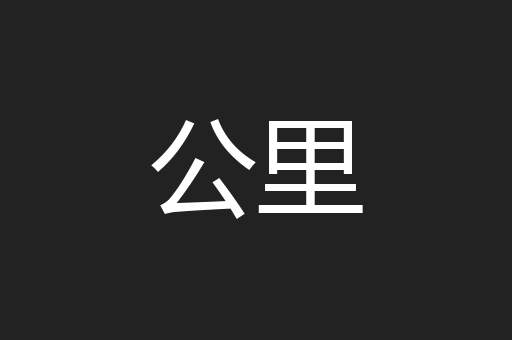 公里