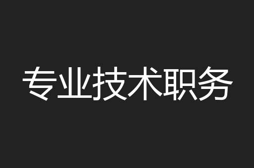 专业技术职务