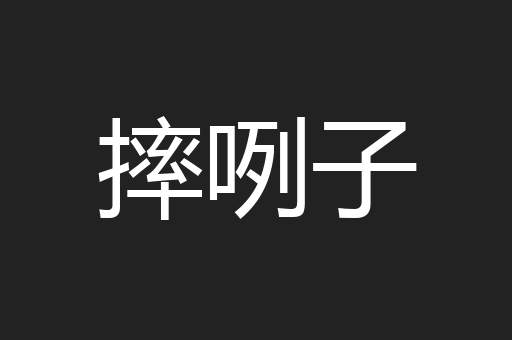 摔咧子