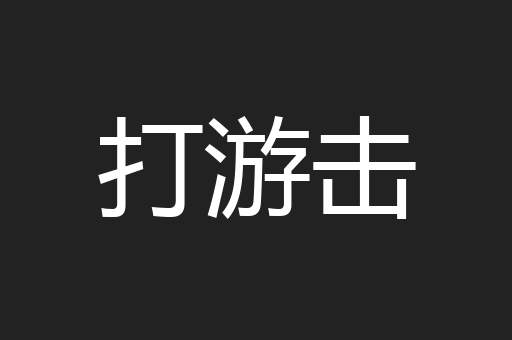 打游击