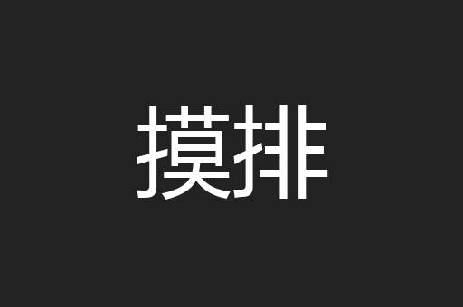 摸排