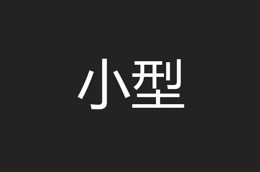小型