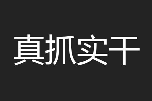 真抓实干