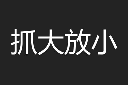 抓大放小