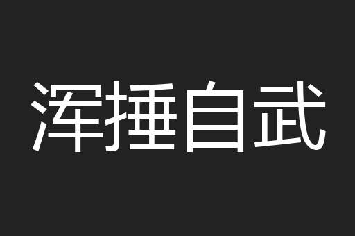 浑捶自武