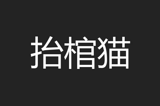 抬棺猫
