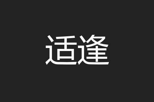 适逢