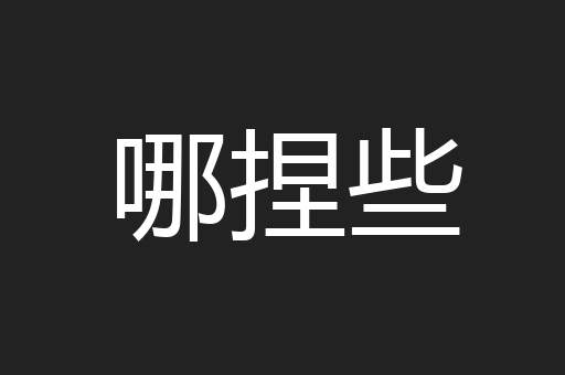 哪捏些