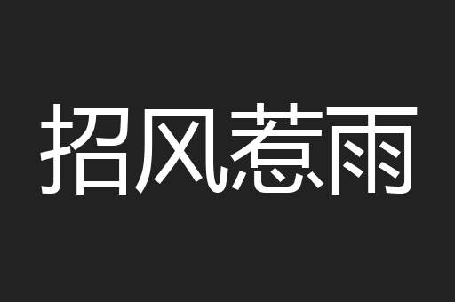 招风惹雨