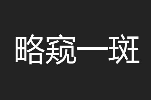 略窥一斑