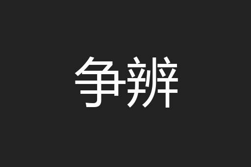 争辨