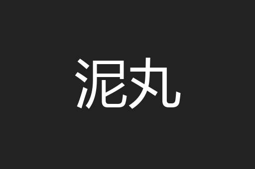 泥丸