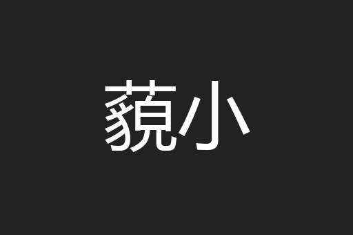 藐小