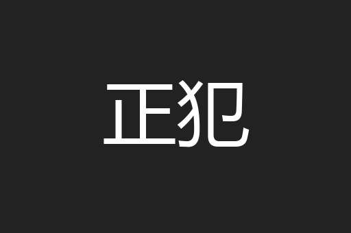 正犯