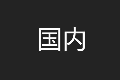 国内