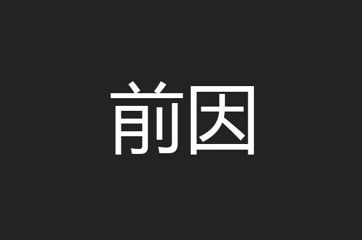 前因
