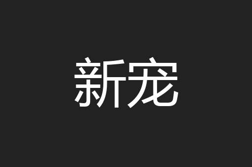 新宠