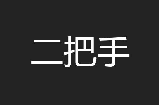 二把手
