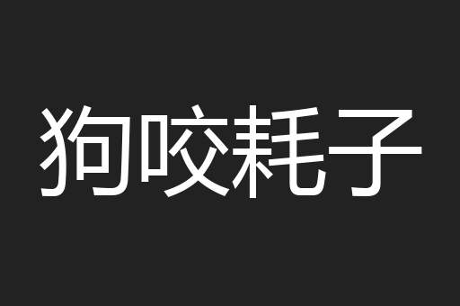 狗咬耗子