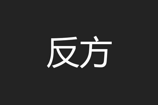 反方