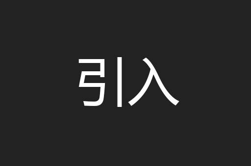 引入