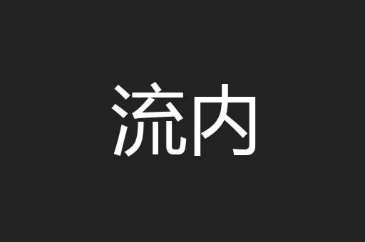 流内