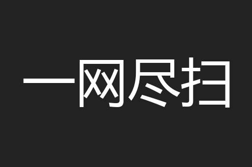 一网尽扫