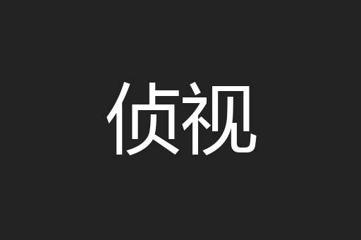 侦视