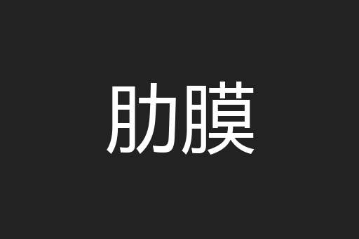 肋膜
