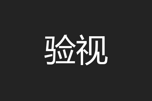 验视