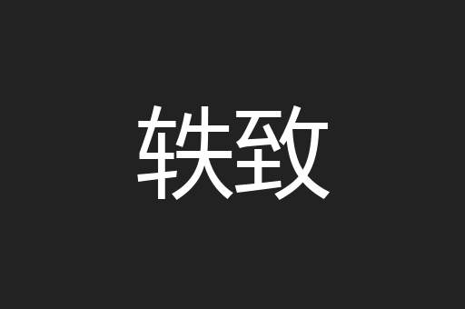 轶致
