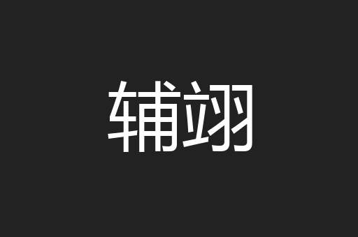 辅翊