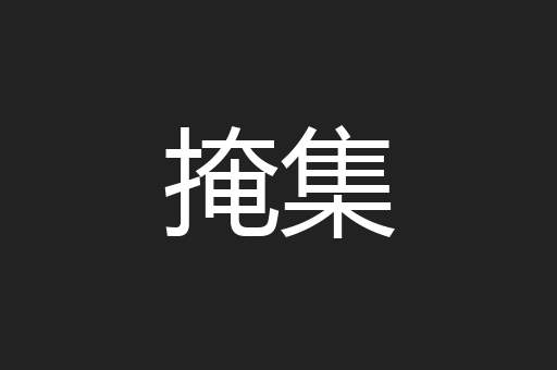 掩集