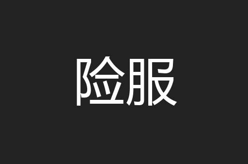 险服
